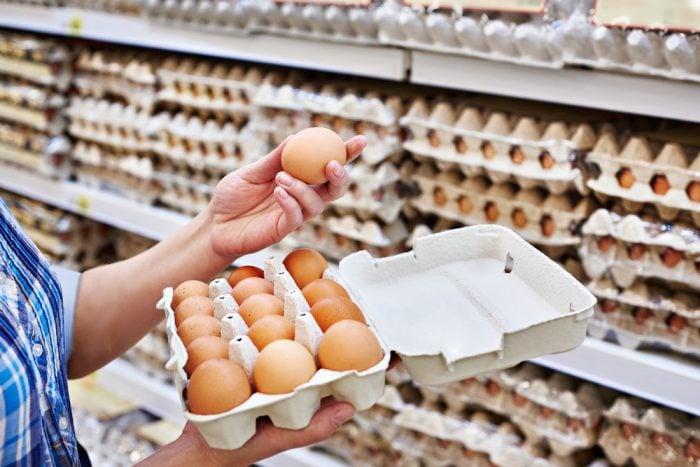 Cara Membuka Usaha Agen Telur dengan Modal Kecil